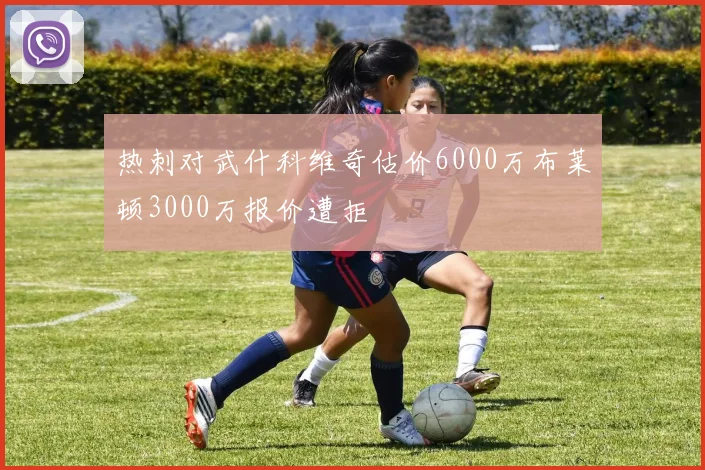 热刺对武什科维奇估价6000万布莱顿3000万报价遭拒
