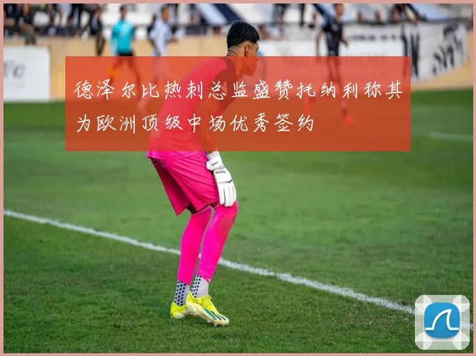 德泽尔比热刺总监盛赞托纳利称其为欧洲顶级中场优秀签约
